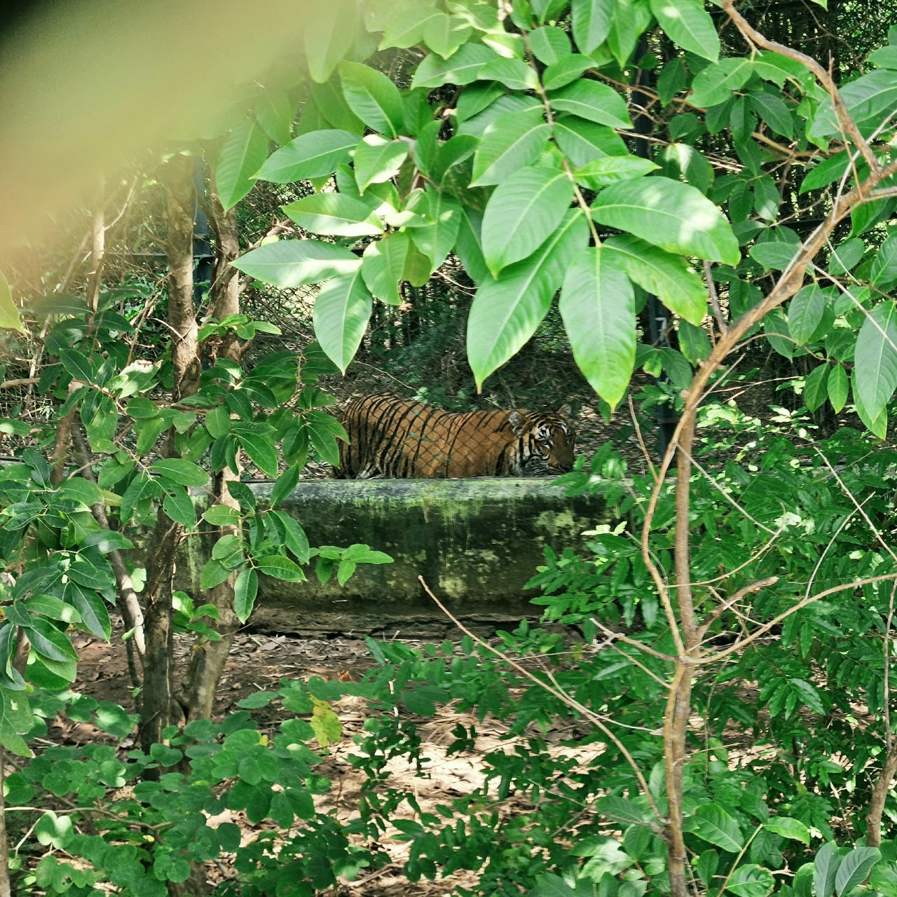 gallery_img