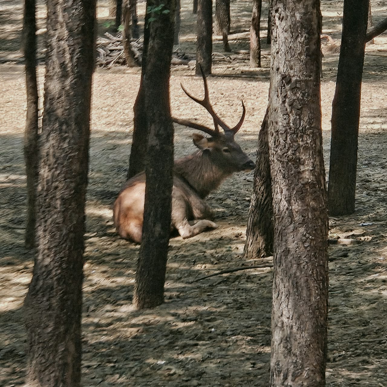 gallery_img